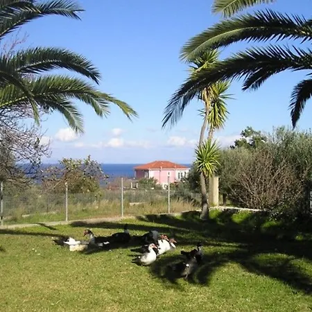 Pitas Kefalonia Island